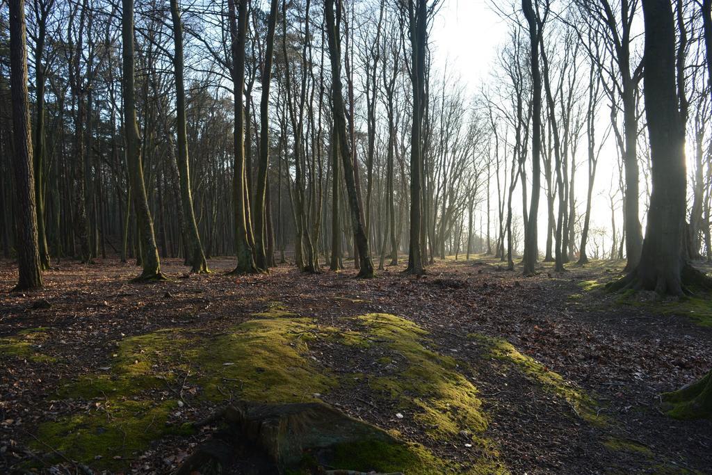 Apartamenty Kotwica Poddąbie Exteriér fotografie